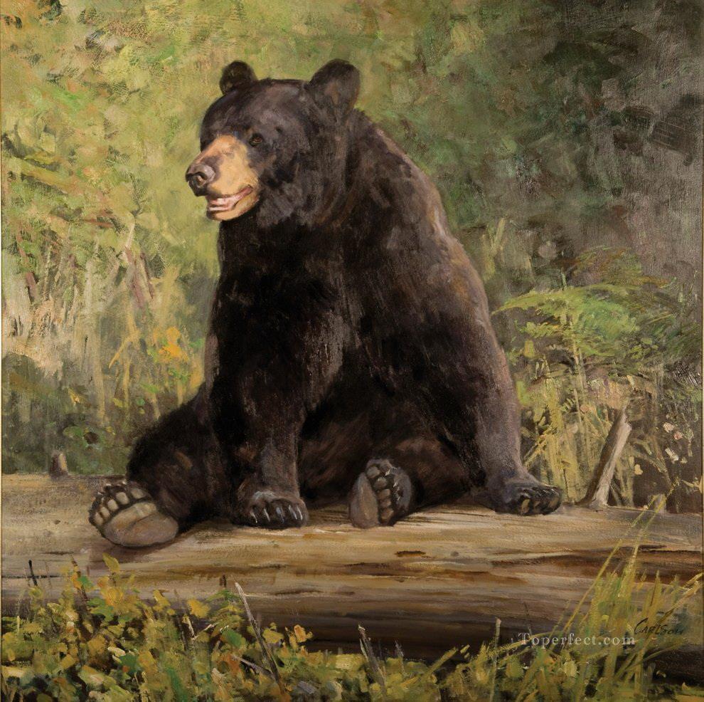 bear 5 Oil Paintings